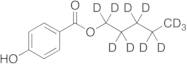[GEN - TR-P283802] Pentyl-d11 Paraben